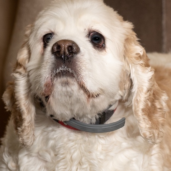 Meet your Posher, Carissa - Picture 12 of 15